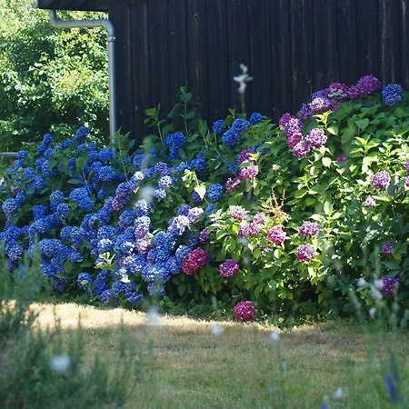 Domaine De Payan Ferienhaus