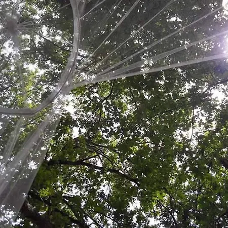 Domaine De Payan Nyaraló Luglon