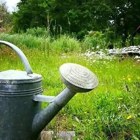 Domaine De Payan Ferienhaus *